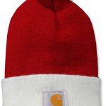 carhartt mützen