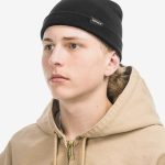 carhartt mützen